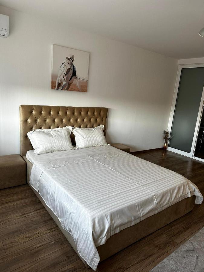 Апартаменты Anastasia Apartament Орадя Экстерьер фото